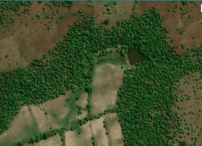 Property of 12 Acres