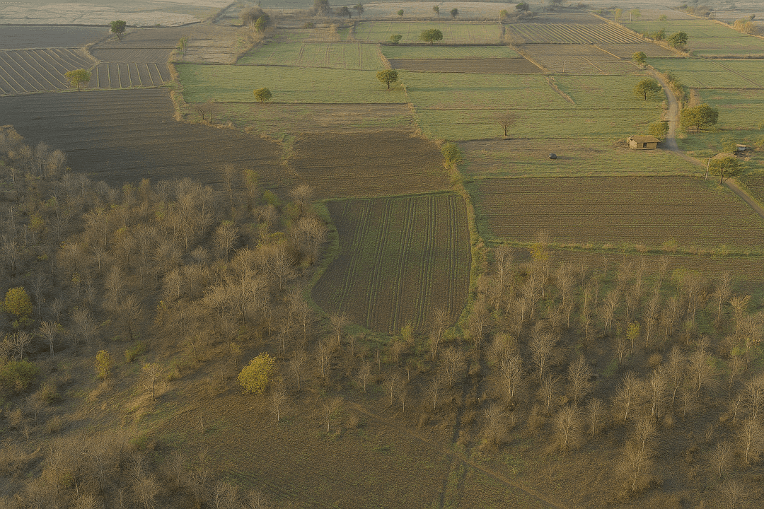 Property sold in July '25